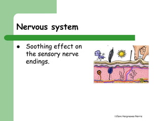 Clare Hargreaves-Norris 
Nervous system 
 Soothing effect on 
the sensory nerve 
endings. 
 