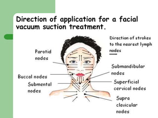 Direction of application for a facial 
vacuum suction treatment. 
Clare Hargreaves-Norris 
 