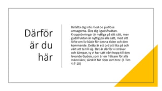 Därför
är du
här
Befatta dig inte med de gudlösa
amsagorna. Öva dig i gudsfruktan.
Kroppsövningar är nyttiga på sitt sätt, men
gudsfruktan är nyttig på alla sätt, med sitt
löfte om liv både för denna tiden och den
kommande. Detta är ett ord att lita på och
värt att ta till sig. Det är därför vi strävar
och kämpar, ty vi har satt vårt hopp till den
levande Guden, som är en frälsare för alla
människor, särskilt för dem som tror. (1 Tim
4:7-10)
 