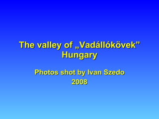 The  v alley  of „ Vadállókövek ”  Hungary Photos shot by Ivan Szedo 2008 