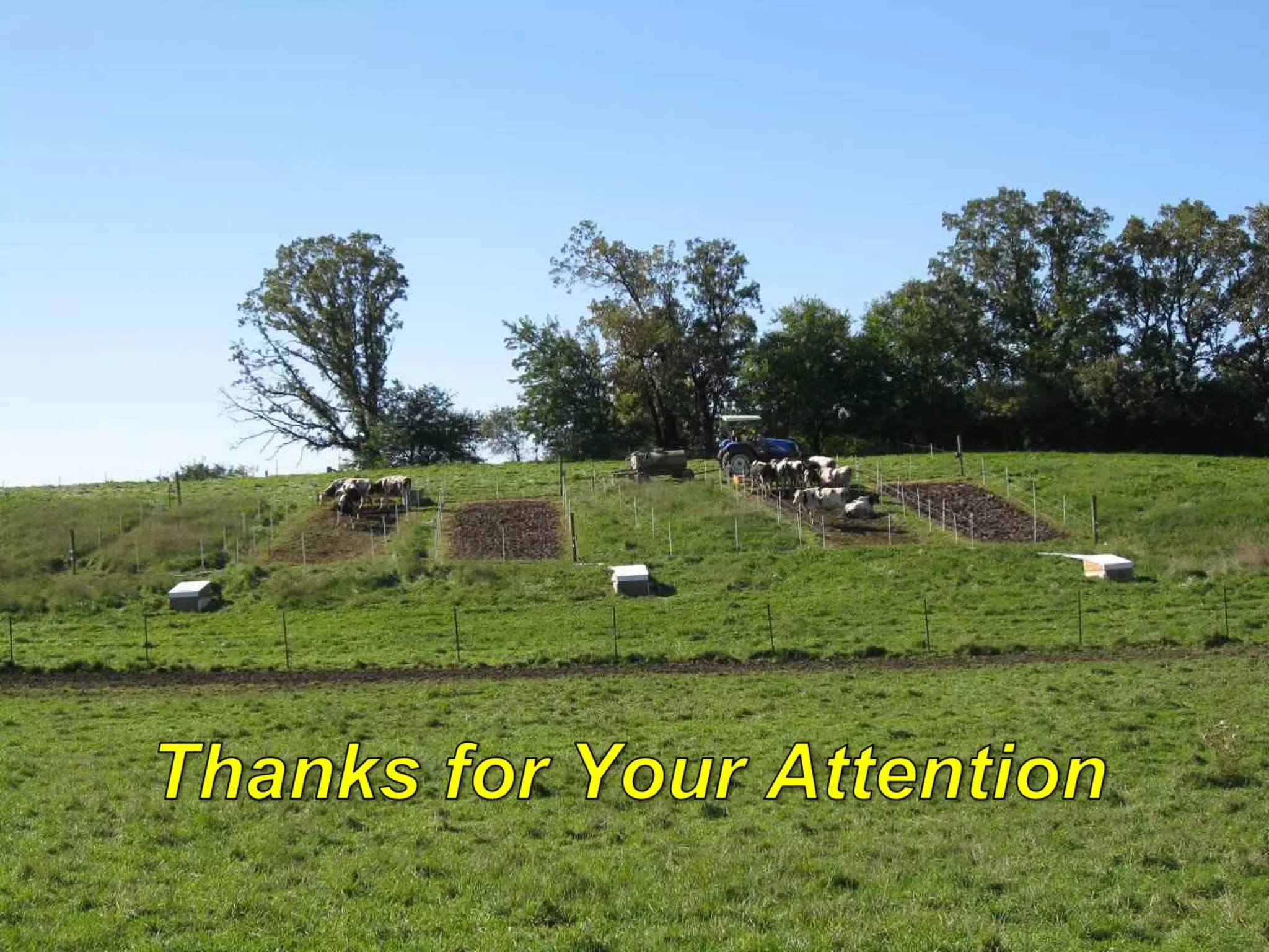 Modeling Phosphorus Movement