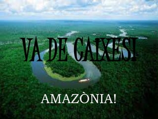 VA DE CAIXES!
AMAZÒNIA!
 
