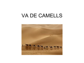 VA DE CAMELLS 