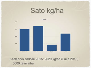 Sato kg/ha
0
1000
2000
3000
4000
Mehiläiset Mehiläiset+prestop mix Suljettu Kontrolli
kg/ha
Keskiarvo sadolle 2015: 2629 kg/ha (Luke 2015)
5000 taimia/ha
 
