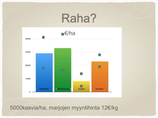 Raha?
€/ha
5000kasvia/ha, marjojen myyntihinta 12€/kg
 