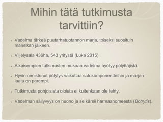 Mihin tätä tutkimusta
tarvittiin?
Vadelma tärkeä puutarhatuotannon marja, toiseksi suosituin
mansikan jälkeen.
Viljelysala 436ha, 543 yritystä (Luke 2015)
Aikaisempien tutkimusten mukaan vadelma hyötyy pölyttäjistä.
Hyvin onnistunut pölytys vaikuttaa satokomponentteihin ja marjan
laatu on parempi.
Tutkimusta pohjoisista oloista ei kuitenkaan ole tehty.
Vadelman säilyvyys on huono ja se kärsii harmaahomeesta (Botrytis).
 