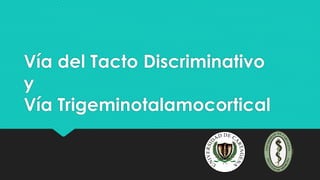 Vía del Tacto Discriminativo
y
Vía Trigeminotalamocortical
 