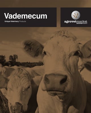 Vademecum English 2015