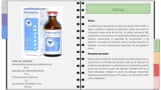 SLIDESMANIA.COM
Efecto:
La cafeína es la más potente en cuanto a su acción sobre el SNC, le
sigue la teofilina y después la teobromina, siendo esta última el
compuesto menos activo de los tres. La cafeína estimula el SNC
produciendo un incremento en el rendimiento intelectual objetivo y
subjetivo, aumentando la capacidad de concentración y de
atención. Incrementa la interacción social y produce sensación de
bienestar, sin tener consecuencias depresivas una vez pasado el
efecto.
Mecanismo de acción:
bloqueo de los receptores de adenosina6 y su potencia de acción es
proporcional a la afinidad que presenta cada una de ellas por los
receptores de adenosina. La adenosina es un nucleósido de purina
ubicuo que se forma a partir del adenosín trifosfato (ATP) en el
fluido extracelular mediante la acción de diversas ectoenzimas
plasmáticas que defosforilan el ATP a adeno- sín monofosfato (AMP)
y éste a adenosina.
Cada mL contiene:
Hexametileno tetramina (metanamina)
40 g
Salicilato de hexametilenamina
10 g
Trimetil xantina (cafeína)
1 g
Agua grado inyectable, c.b.p
100 mL.
XANTINA
 