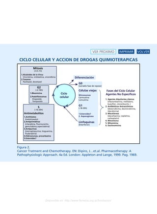 VER PROXIMO                IMPRIMIR             VOLVER

 CICLO CELULAR Y ACCION DE DROGAS QUIMIOTERAPICAS
               Mitosis
                (-0.5-1h)
  1.Alcaloides de la Vinca
    Vincristina, vinblastina, vinorelbina             Diferenciación
  2.Taxanos
    Paclitaxel, docetaxel
                                                        G0
                                                        (variable fase de reposo)
                    G2
                  (-2-10h)                              Células viejas              Fases del Ciclo Celular
            1.Bleomicina                     Ciclo      Nitrosoureas                Agentes No Específicos
            2.Podofilotoxinas               celular     Carmustina
              Etoposida                                 Lomustina                   1. Agentes Alquilantes clásicos
              Teniposido                                                               (mecloretamina, melfalano,
                                                                                       busulfan, clorambucilo, )
                                                        G1                          2. Antibióticos Antraciclínicos
                    S                                   (-18-30h)
                 (-16-20h)                                                             (doxorubicina, daunorubicina,
                                                                                       idarubicina)
     Antimetabolitos                                    1.Esteroides?               3. Misceláneas
     1.Antifolatos                                      2. Asparaginasa                (dacarbazina, cisplatina,
      (metotraxato)                                                                    carboplatin)
     2.Antipirimidinas                                                              4. Nitromicina
                                                        Linfoquinas                 5. Mitomicina
      (citarabina, fluorouranto,                        (Interferon)
      gemcitabina,capecitabina)                                                     6. Dactinomicina
     3.Antipurinas
      (mercaptopurina, tioguanina,
      fludarabina)
     4.Hidroxiureas, procarbazina
     5.Esteroides?



Figura 2.
Cancer Tratment and Chemotherapy. EN: Dipiro, J…et.al. Pharmacotherapy: A
Pathophysiologic Approach. 4a Ed. London: Appleton and Lange, 1999. Pag. 1969.




                             Disponible en: http://www.femeba.org.ar/fundacion/
 