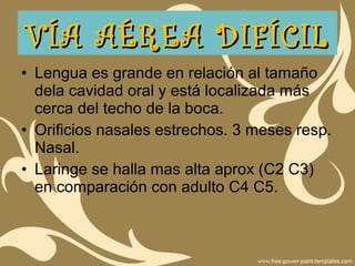 • Lengua es grande en relación al tamaño
dela cavidad oral y está localizada más
cerca del techo de la boca.
• Orificios nasales estrechos. 3 meses resp.
Nasal.
• Laringe se halla mas alta aprox (C2 C3)
en comparación con adulto C4 C5.
VÍA AÉREA DIFÍCILVÍA AÉREA DIFÍCIL
 