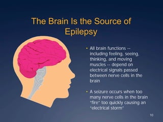 The Brain Is the Source of
Epilepsy
10
• All brain functions --
including feeling, seeing,
thinking, and moving
muscles -- depend on
electrical signals passed
between nerve cells in the
brain
• A seizure occurs when too
many nerve cells in the brain
“fire” too quickly causing an
“electrical storm”
 