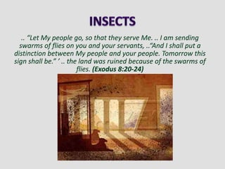 .. “Let My people go, so that they serve Me. .. I am sending
swarms of flies on you and your servants, ..“And I shall put a
distinction between My people and your people. Tomorrow this
sign shall be.” ’ .. the land was ruined because of the swarms of
flies. (Exodus 8:20-24)
 
