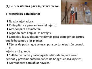 ¿Qué necesitamos para injertar Cacao? 
4- Materiales para injertar 
◗ Navaja injertadora. 
◗ Cinta plástica para amarrar el injerto. 
◗ Alcohol para desinfectar. 
◗ Algodón para limpiar las navajas. 
◗ Candelas, las cuales derretiremos para proteger los cortes 
que le hacemos a las plantas. 
◗ Tijeras de podar, que se usan para cortar el patrón cuando 
el 
injerto esté grande. 
◗ Sulfato de cobre y cal apagada o hidratada para curar 
heridas y prevenir enfermedades de hongos en los injertos. 
◗ Asentadores para afilar navajas. 
 