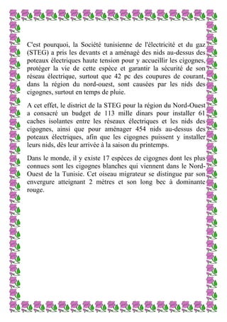 C'est pourquoi, la Société tunisienne de l'électricité et du gaz
(STEG) a pris les devants et a aménagé des nids au-dessus des
poteaux électriques haute tension pour y accueillir les cigognes,
protéger la vie de cette espèce et garantir la sécurité de son
réseau électrique, surtout que 42 pc des coupures de courant,
dans la région du nord-ouest, sont causées par les nids des
cigognes, surtout en temps de pluie.
A cet effet, le district de la STEG pour la région du Nord-Ouest
a consacré un budget de 113 mille dinars pour installer 61
caches isolantes entre les réseaux électriques et les nids des
cigognes, ainsi que pour aménager 454 nids au-dessus des
poteaux électriques, afin que les cigognes puissent y installer
leurs nids, dès leur arrivée à la saison du printemps.
Dans le monde, il y existe 17 espèces de cigognes dont les plus
connues sont les cigognes blanches qui viennent dans le NordOuest de la Tunisie. Cet oiseau migrateur se distingue par son
envergure atteignant 2 mètres et son long bec à dominante
rouge.

 