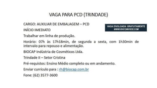 Vagas de Emprego - Goiânia e Região - 19-01-2018