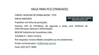 Vagas de Emprego - Goiânia e Região - 19-01-2018