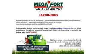 Vagas de emprego - Goiânia e Região - 29-08-2017