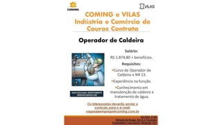 Vagas de emprego - Goiânia e Região - 29-08-2017