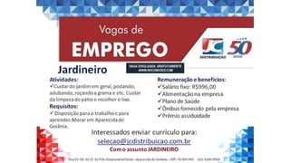 Vagas de emprego - Goiânia e Região - 29-08-2017