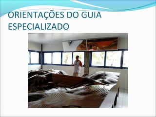 ORIENTAÇÕES DO GUIA
ESPECIALIZADO
 