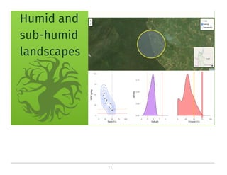 On the critical role of soil organic carbon in landscapes