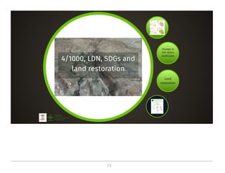 On the critical role of soil organic carbon in landscapes