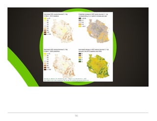 On the critical role of soil organic carbon in landscapes