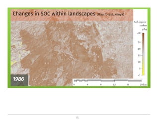 On the critical role of soil organic carbon in landscapes