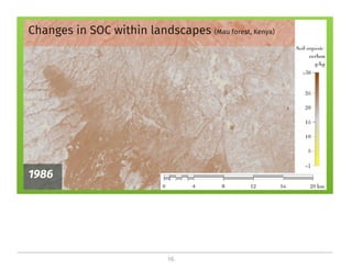 On the critical role of soil organic carbon in landscapes