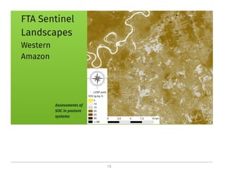 On the critical role of soil organic carbon in landscapes