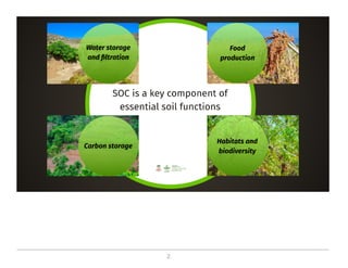 On the critical role of soil organic carbon in landscapes