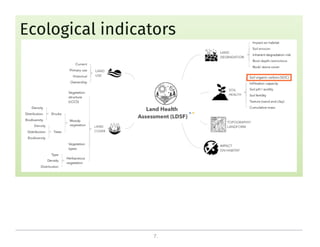 On the critical role of soil organic carbon in landscapes
