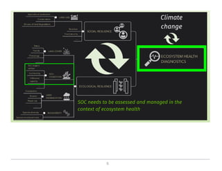 On the critical role of soil organic carbon in landscapes