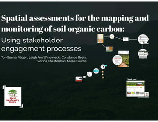 Spatial assessment for the mapping and monitoring of soil organic carbon
