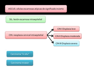 Para una correcta obtención de la muestra, la mujer debe situarse en una mesa de exploración ginecológica. Para poder visualizar el cuello uterino, se coloca un espéculo vaginal para separar las paredes vaginales y visualizar el cérvix. Seguidamente se realiza la toma de muestras con una espátula o una torunda de algodón.Se realiza un leve raspado no doloroso en tres puntos:  El fondo de saco vaginal
