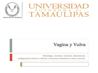Vagina y Vulva
Etimología, concepto, situación, dimensiones,
configuración exterior e interior, estructura anatómica y vasos y nervios.
 
