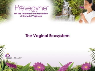 For the Treatment and Prevention
      of Bacterial Vaginosis




          The Vaginal Ecosystem
 
