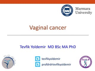 Vaginal cancer
Tevfik Yoldemir MD BSc MA PhD
tevfikyoldemir
profdrdrtevfikyoldemir
 