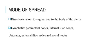 MODE OF SPREAD
Direct extension: to vagina, and to the body of the uterus
Lymphatic: parametrial nodes, internal iliac nodes,
obturator, external iliac nodes and sacral nodes
 