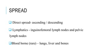 SPREAD
 Direct spread- ascending / descending
 Lymphatics - inguinofemoral lymph nodes and pelvic
lymph nodes
Blood borne (rare) – lungs, liver and bones
 