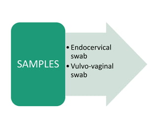 •Endocervical
swab
•Vulvo-vaginal
swab
SAMPLES
 
