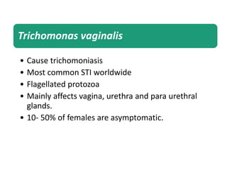 Trichomonas vaginalis
• Cause trichomoniasis
• Most common STI worldwide
• Flagellated protozoa
• Mainly affects vagina, urethra and para urethral
glands.
• 10- 50% of females are asymptomatic.
 