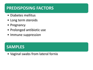 PREDISPOSING FACTORS
• Diabetes mellitus
• Long term steroids
• Pregnancy
• Prolonged antibiotic use
• Immune suppression
SAMPLES
• Vaginal swabs from lateral fornix
 