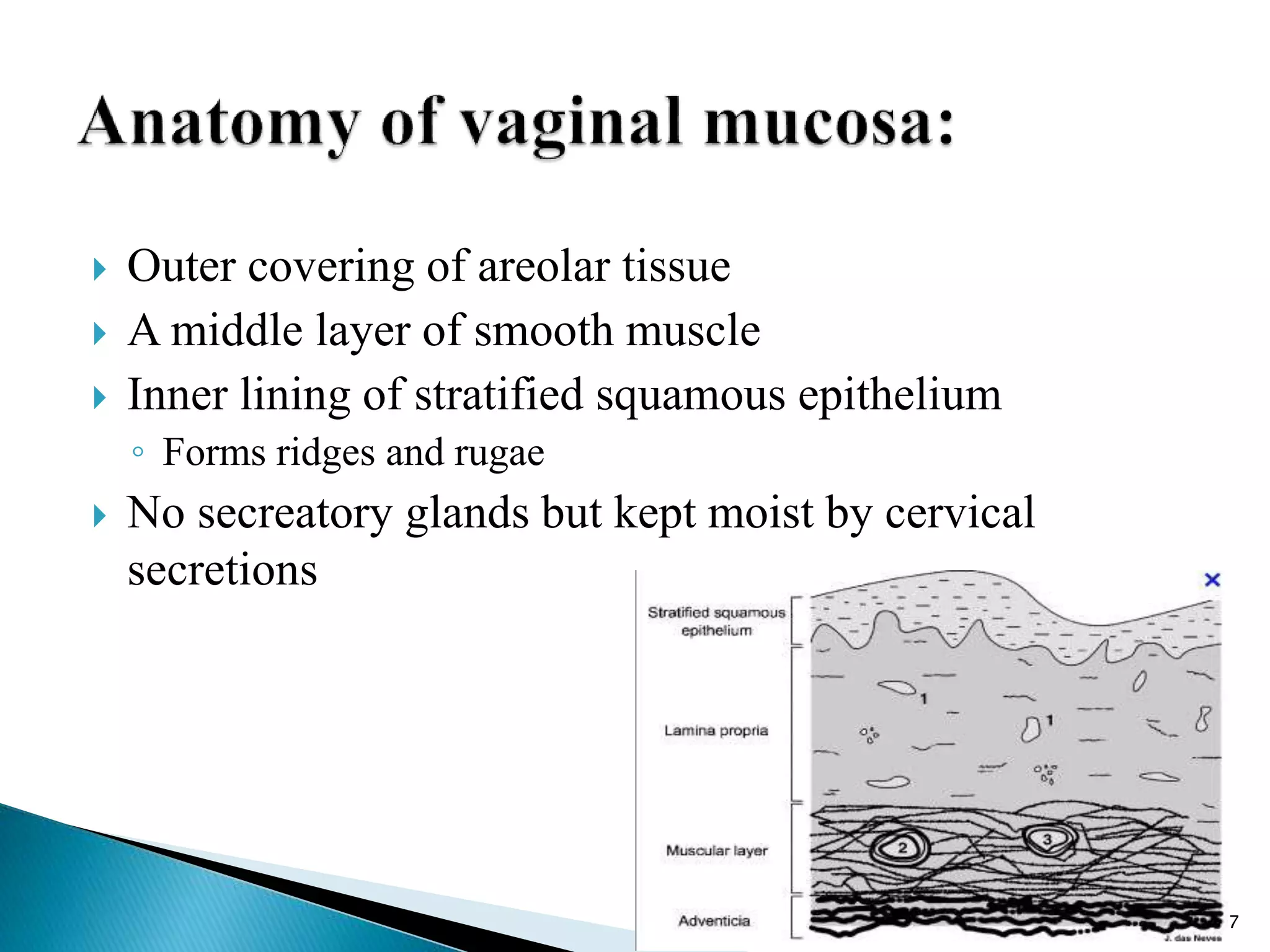 Vaginal drug delivery | PPTX