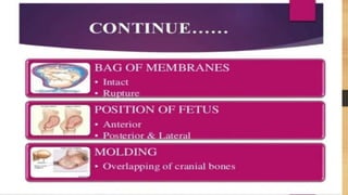 VAGINAL EXAMINATION PRESNTETION PPT.pptx