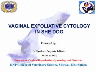 VAGINAL EXFOLIATIVE CYTOLOGY
IN SHE DOG
Presented by,
Dr.Tumbare Prajakta Jalinder
M.V.Sc (ARGO)
Department of Animal Reproduction, Gynaecology and Obstetrics
KNP College of Veterinary Science, Shirwal, Dist:Satara
 