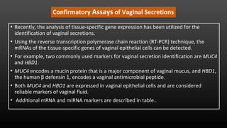 Confirmatory Assays of Vaginal Secretions
• Recently, the analysis of tissue-specific gene expression has been utilized for the
identification of vaginal secretions.
• Using the reverse transcription polymerase chain reaction (RT-PCR) technique, the
mRNAs of the tissue-specific genes of vaginal epithelial cells can be detected.
• For example, two commonly used markers for vaginal secretion identification are MUC4
and HBD1.
• MUC4 encodes a mucin protein that is a major component of vaginal mucus, and HBD1,
the human β defensin 1, encodes a vaginal antimicrobial peptide.
• Both MUC4 and HBD1 are expressed in vaginal epithelial cells and are considered
reliable markers of vaginal fluid.
• Additional mRNA and miRNA markers are described in table..
 