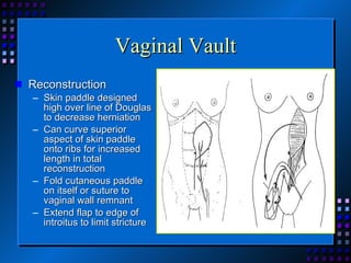 Skin Paddle Incision Vaginal & genitourinary reconstruction | PPT