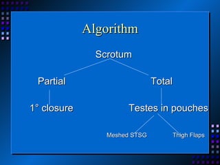 Algorithm Scrotum   Partial Total 1 ° closure Testes in pouches Meshed STSG Thigh Flaps 
